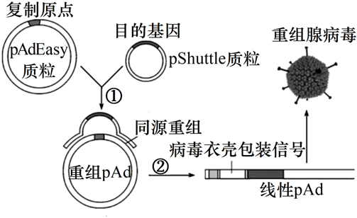 菁優(yōu)網