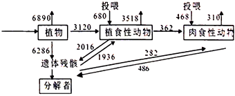 菁優(yōu)網(wǎng)