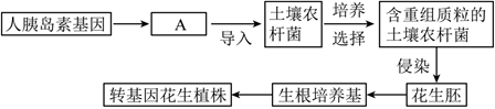 菁優(yōu)網