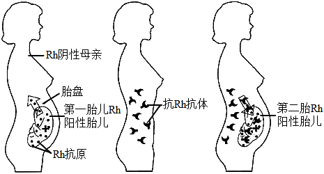 菁優(yōu)網