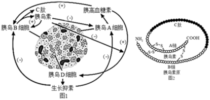 菁優(yōu)網