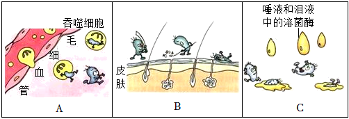 菁優(yōu)網(wǎng)