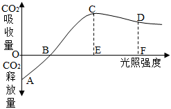 菁優(yōu)網(wǎng)