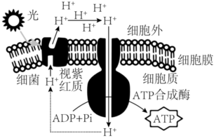 菁優(yōu)網(wǎng)