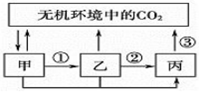 菁優(yōu)網(wǎng)