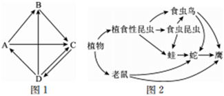 菁優(yōu)網