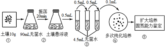 菁優(yōu)網