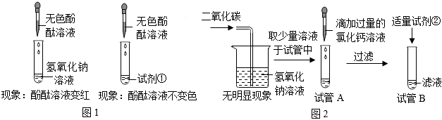 菁優(yōu)網