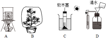 菁優(yōu)網(wǎng)