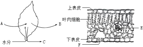 菁優(yōu)網(wǎng)