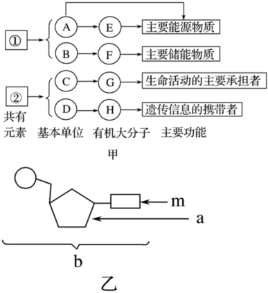 菁優(yōu)網