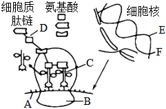 菁優(yōu)網(wǎng)