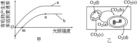 菁優(yōu)網(wǎng)