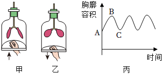 菁優(yōu)網(wǎng)