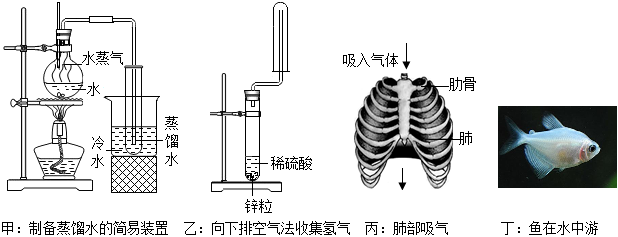 菁優(yōu)網(wǎng)