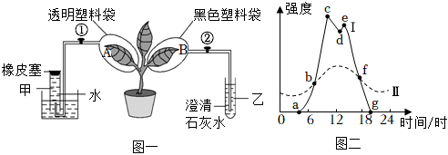 菁優(yōu)網(wǎng)