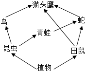 菁優(yōu)網(wǎng)