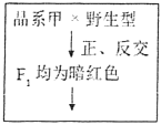 菁優(yōu)網(wǎng)