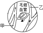 菁優(yōu)網(wǎng)