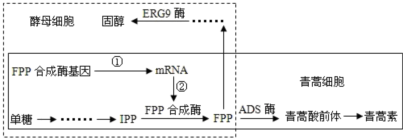 菁優(yōu)網