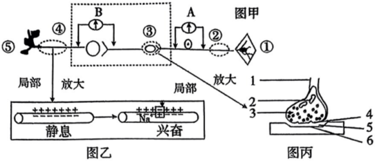 菁優(yōu)網