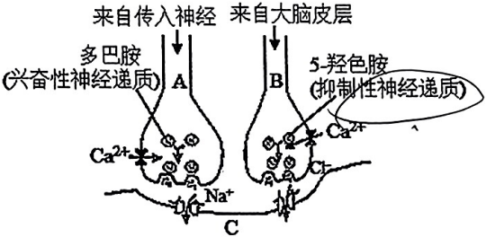 菁優(yōu)網