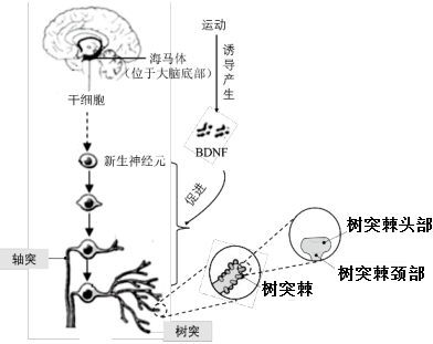 菁優(yōu)網