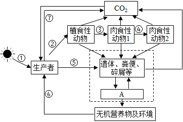 菁優(yōu)網(wǎng)