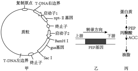 菁優(yōu)網