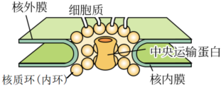 菁優(yōu)網