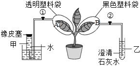 菁優(yōu)網(wǎng)