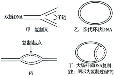 菁優(yōu)網