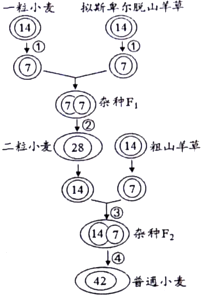 菁優(yōu)網