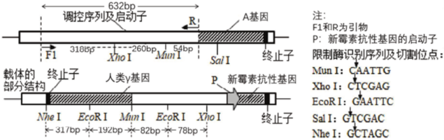 菁優(yōu)網