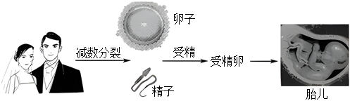 菁優(yōu)網