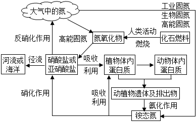 菁優(yōu)網