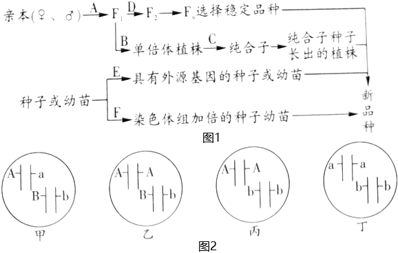 菁優(yōu)網