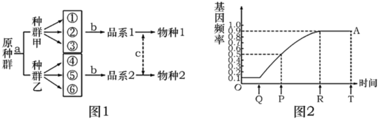 菁優(yōu)網