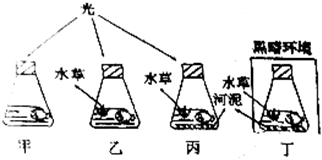 菁優(yōu)網(wǎng)