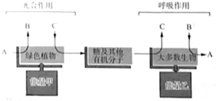 菁優(yōu)網(wǎng)