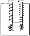 菁優(yōu)網(wǎng)