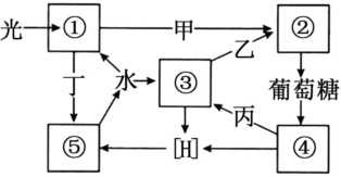 菁優(yōu)網