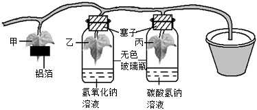 菁優(yōu)網(wǎng)