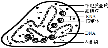 菁優(yōu)網(wǎng)