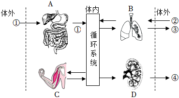 菁優(yōu)網(wǎng)