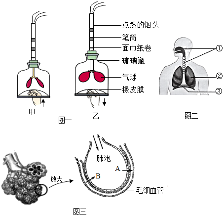 菁優(yōu)網(wǎng)