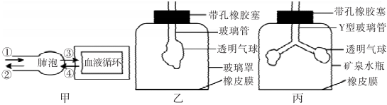 菁優(yōu)網(wǎng)