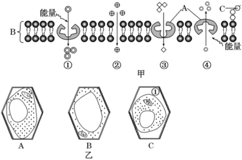 菁優(yōu)網(wǎng)