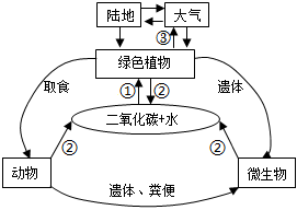 菁優(yōu)網