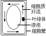 菁優(yōu)網